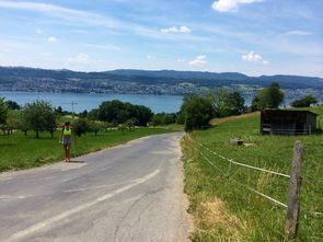 九游娱乐下载-“缆绳滑水：东桃花岛赛场呈现全新水上运动魅力”